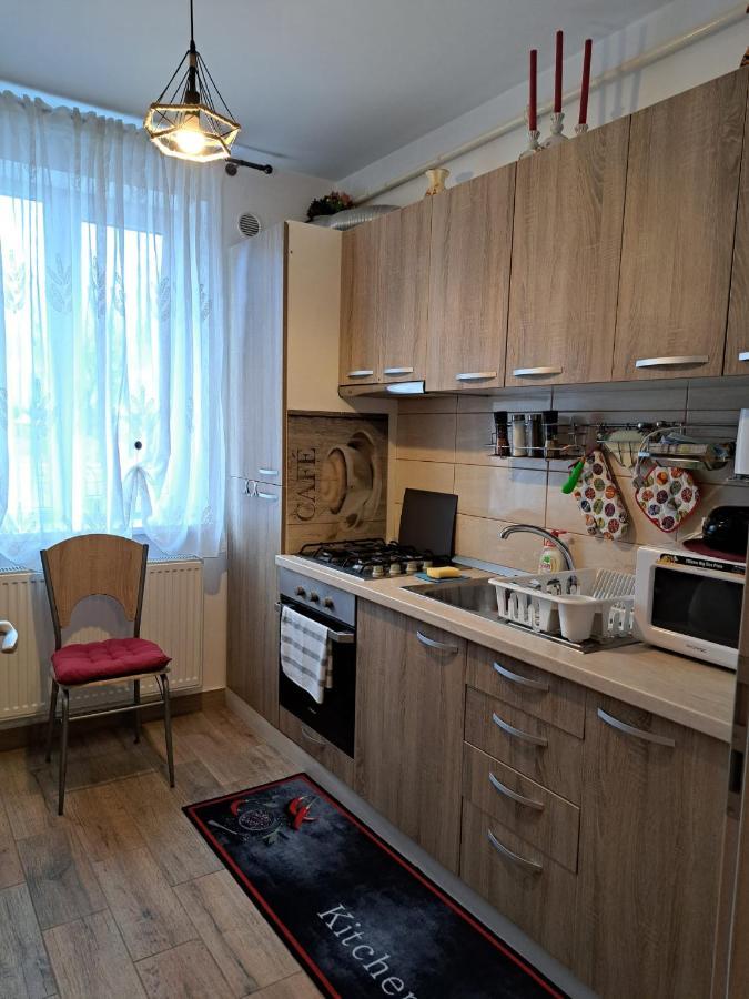 Cozy Apartment In Rasnov エクステリア 写真