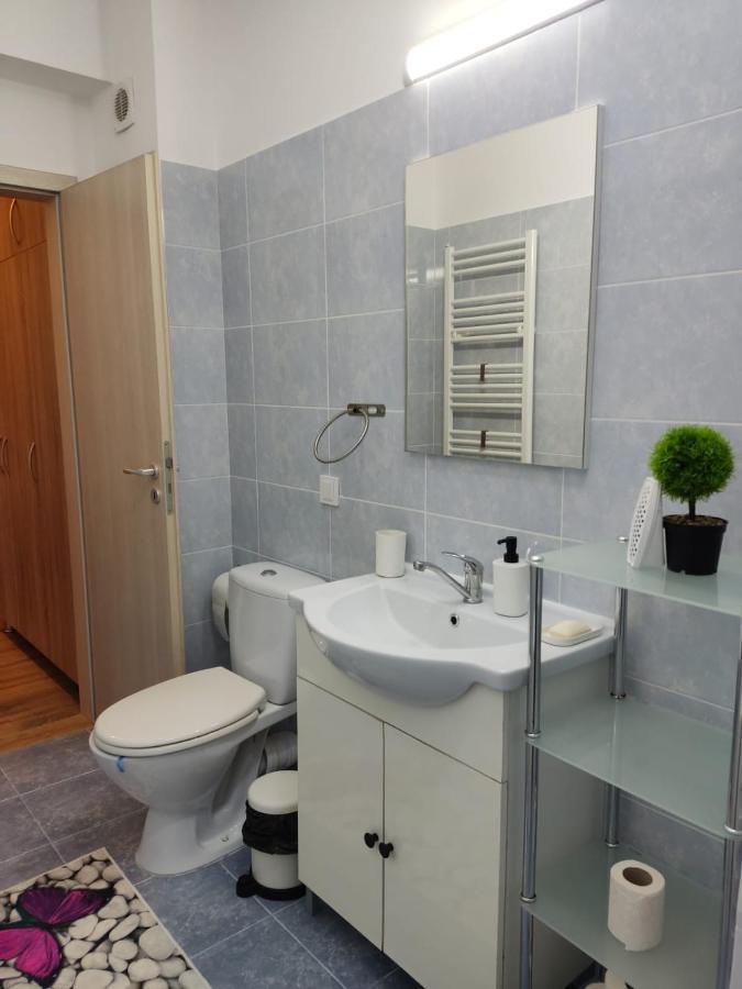 Cozy Apartment In Rasnov エクステリア 写真